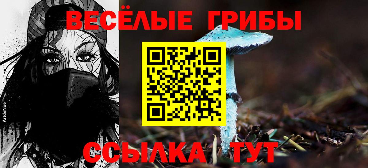 Кольчугино  Псилоцибиновые грибы Magic Shrooms  Вход с VPN  Галлюциногенные грибы Cubensis 