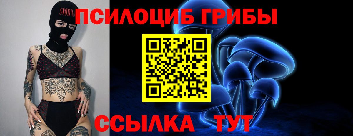 Псилоцибиновые грибы мицелий Кольчугино